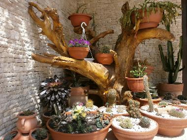 Appartement de vacances /en/au Rovinj (Istarska)ou appartement ou maison de vacances