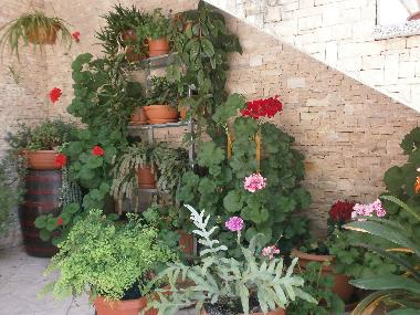 Appartement de vacances /en/au Rovinj (Istarska)ou appartement ou maison de vacances