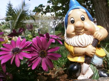 Appartement de vacances /en/au Rovinj (Istarska)ou appartement ou maison de vacances