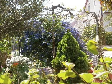 Appartement de vacances /en/au Rovinj (Istarska)ou appartement ou maison de vacances