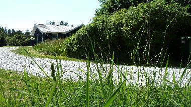 Maison de vacances /en/au Grnhj (Nordjylland)ou appartement ou maison de vacances