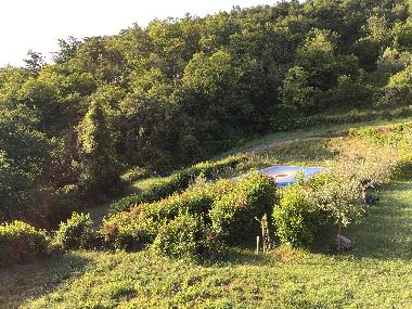 Maison de vacances /en/au Arezzo (Arezzo)ou appartement ou maison de vacances