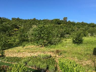 Maison de vacances /en/au Arezzo (Arezzo)ou appartement ou maison de vacances