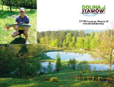 Maison de vacances /en/au Skopw  51 (Podkarpackie)ou appartement ou maison de vacances