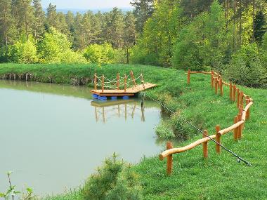 Maison de vacances /en/au Skopw  51 (Podkarpackie)ou appartement ou maison de vacances