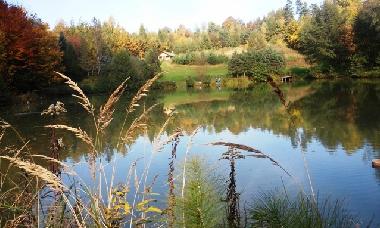 Maison de vacances /en/au Skopw  51 (Podkarpackie)ou appartement ou maison de vacances