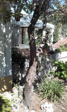 Villa /en/au TOULON (Var)ou appartement ou maison de vacances