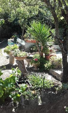 Villa /en/au TOULON (Var)ou appartement ou maison de vacances