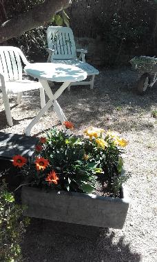 Villa /en/au TOULON (Var)ou appartement ou maison de vacances