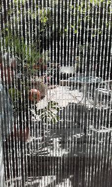 Villa /en/au TOULON (Var)ou appartement ou maison de vacances