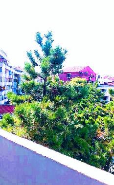 Appartement de vacances �/en/au Budva (Mont�n�gro)ou appartement ou maison de vacances