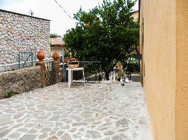 Villa /en/au Isola Del Giglio (Grosseto)ou appartement ou maison de vacances
