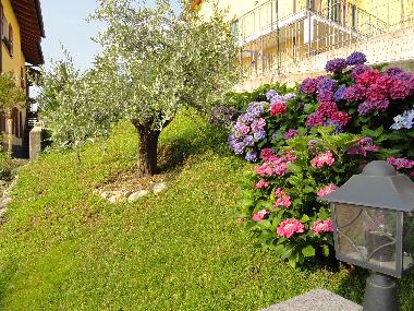 Appartement de vacances �/en/au Brezzo  (Varese)ou appartement ou maison de vacances