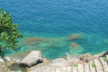 Maison de vacances /en/au Forio  (Napoli)ou appartement ou maison de vacances