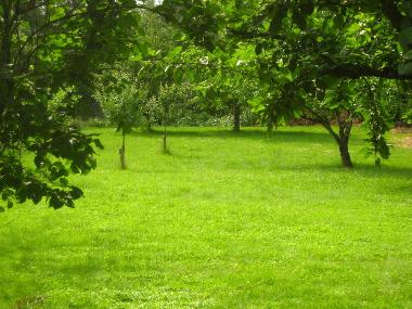Appartement de vacances /en/au Bad Fssing (Niederbayern)ou appartement ou maison de vacances
