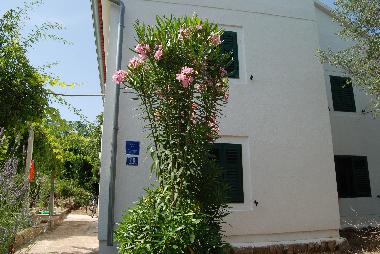 Maison de vacances /en/au Mali Lukoran (Zadarska)ou appartement ou maison de vacances