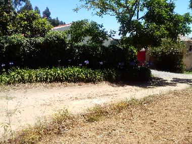 Maison de vacances /en/au B&B da Mata  (Oeste)ou appartement ou maison de vacances