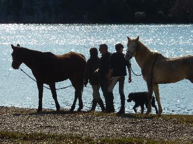 Chalet �/en/au AUPS (Var)ou appartement ou maison de vacances