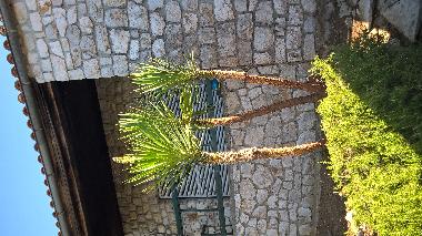 Maison de vacances /en/au Crikvenica (Primorsko-Goranska)ou appartement ou maison de vacances