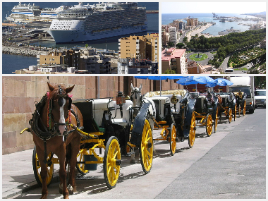 Appartement de vacances /en/au Malaga (Mlaga)ou appartement ou maison de vacances