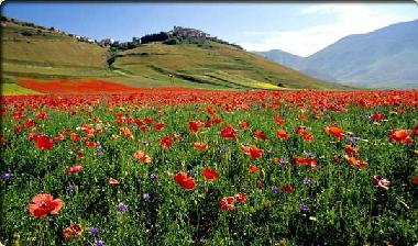 Appartement de vacances /en/au Norcia (Perugia)ou appartement ou maison de vacances