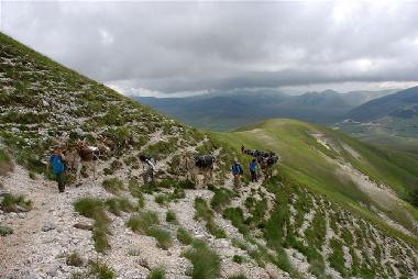 Appartement de vacances /en/au Norcia (Perugia)ou appartement ou maison de vacances