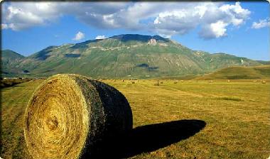 Appartement de vacances /en/au Norcia (Perugia)ou appartement ou maison de vacances