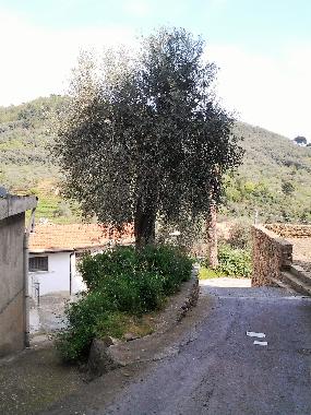 Appartement de vacances �/en/au MOLTEDO (Imperia)ou appartement ou maison de vacances