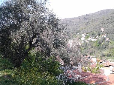 Appartement de vacances �/en/au MOLTEDO (Imperia)ou appartement ou maison de vacances