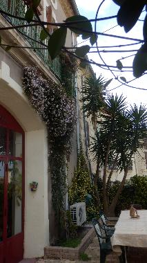 Appartement de vacances /en/au Castelnau de Guers (Hrault)ou appartement ou maison de vacances