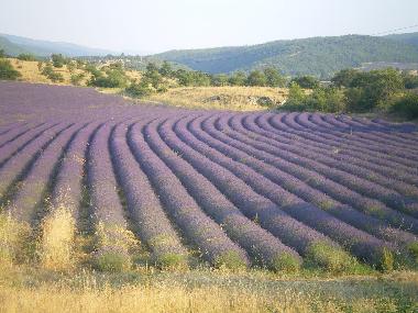 Maison de vacances �/en/au L