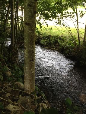 Chalet �/en/au le val d ajol (Vosges)ou appartement ou maison de vacances