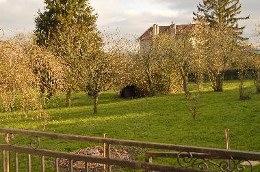 Appartement de vacances �/en/au PONT A MOUSSON (Meurthe-et-Moselle)ou appartement ou maison de vacances