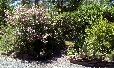 Villa �/en/au Moli�res sur C�ze (Gard)ou appartement ou maison de vacances