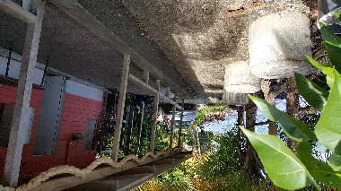 Maison de vacances �/en/au TRINITE (Martinique)ou appartement ou maison de vacances