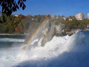 Maison de vacances /en/au Feriendorf fingen (Schwarzwald)ou appartement ou maison de vacances