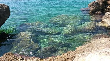 Appartement de vacances �/en/au Alezio (Lecce)ou appartement ou maison de vacances