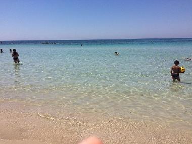 Appartement de vacances �/en/au Alezio (Lecce)ou appartement ou maison de vacances