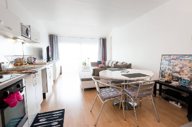 Appartement de vacances /en/au Gaillard (Haute-Savoie)ou appartement ou maison de vacances