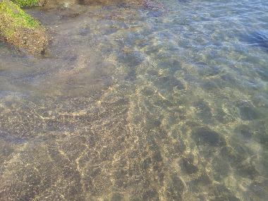 Appartement de vacances �/en/au CASTIGLIONE DELLA PESCAIA (Grosseto)ou appartement ou maison de vacances