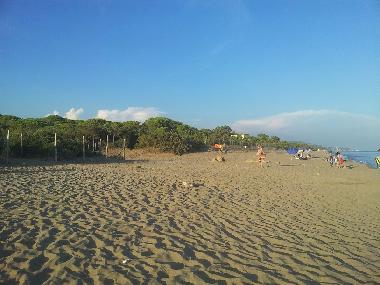 Appartement de vacances �/en/au CASTIGLIONE DELLA PESCAIA (Grosseto)ou appartement ou maison de vacances