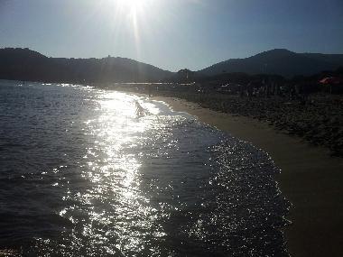 Appartement de vacances �/en/au CASTIGLIONE DELLA PESCAIA (Grosseto)ou appartement ou maison de vacances