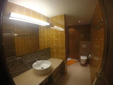 Appartement de vacances /en/au Mhlbach (Pinzgau-Pongau)ou appartement ou maison de vacances