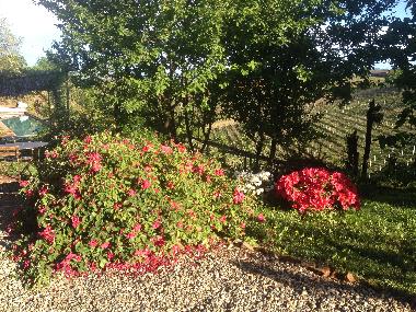 Maison de vacances �/en/au Vaglio Serra (Asti)ou appartement ou maison de vacances