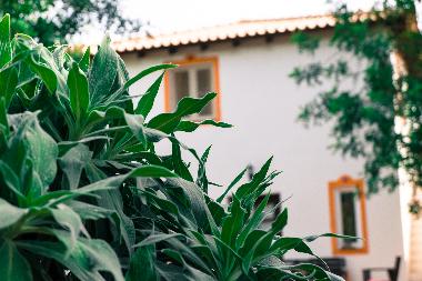 Maison de vacances �/en/au Quelfes (Algarve)ou appartement ou maison de vacances