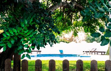 Maison de vacances �/en/au Quelfes (Algarve)ou appartement ou maison de vacances