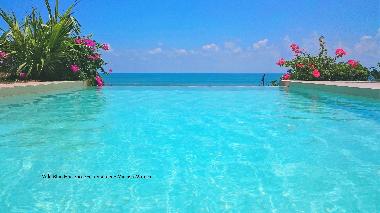 infinity swimming pool overlooking a long paradise beach