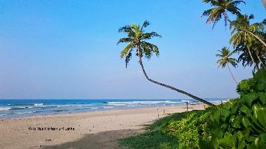 unspoiled beach with all facilities nearby