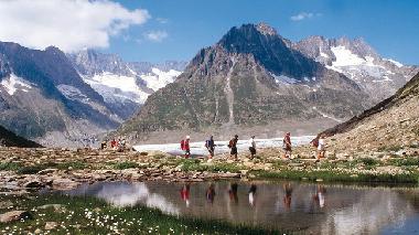 Chalet �/en/au Fiesch (Aletsch)ou appartement ou maison de vacances