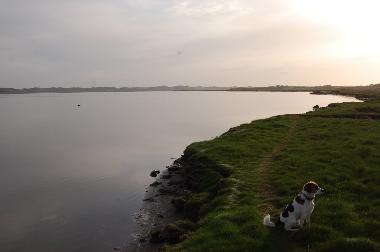 Maison de vacances �/en/au Lyngs (Nordjylland)ou appartement ou maison de vacances